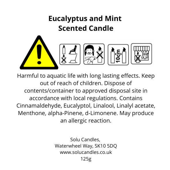 Eucalyptus & Mint Soy Wax Candle - Solu Candles